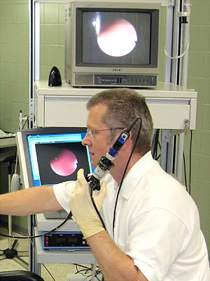 Fiberendoskopische Schluckuntersuchung (FEES-fiberoptic endoscopic evaluation of swallowing)